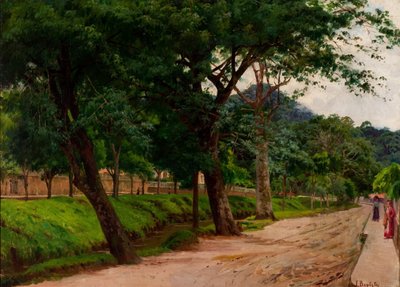 Petropolis de Joao Batista da Costa